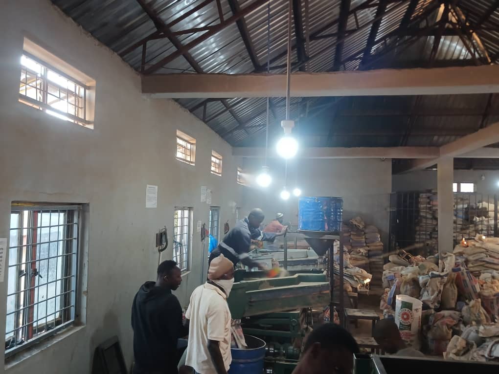 nigerian zircon sand supplier