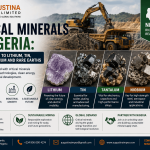 Critical Minerals in Nigeria: Complete Guide to Lithium, Tin, Tantalum, Niobium and Rare Earths